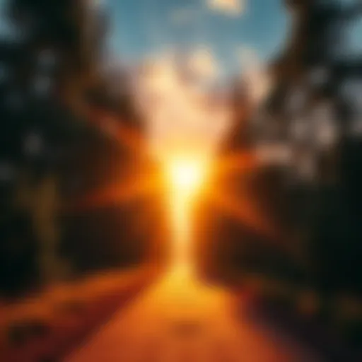 A vibrant sunrise illuminating a path through a lush forest symbolizing hope and progress