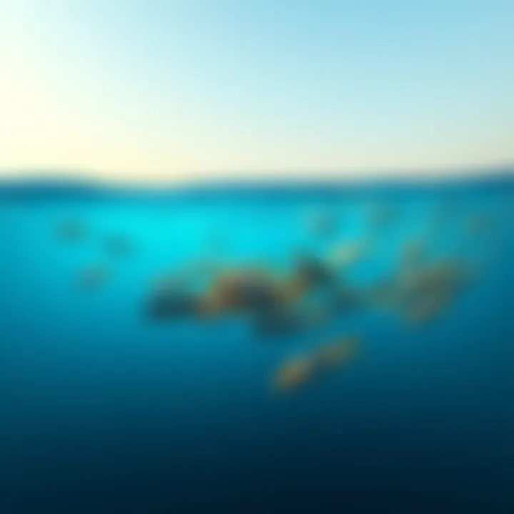 A serene ocean scene with a school of fish swimming away, symbolizing farewell and gratitude.