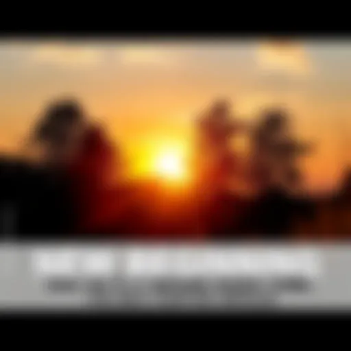 A sunrise symbolizing a fresh start, with trees and a clear sky